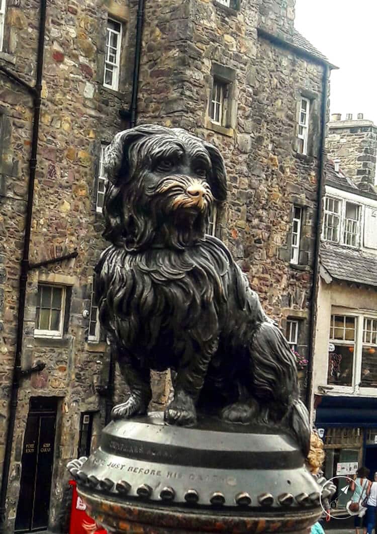 Εδιμβούργο (diary post 1) Bobby - φωτογραφία