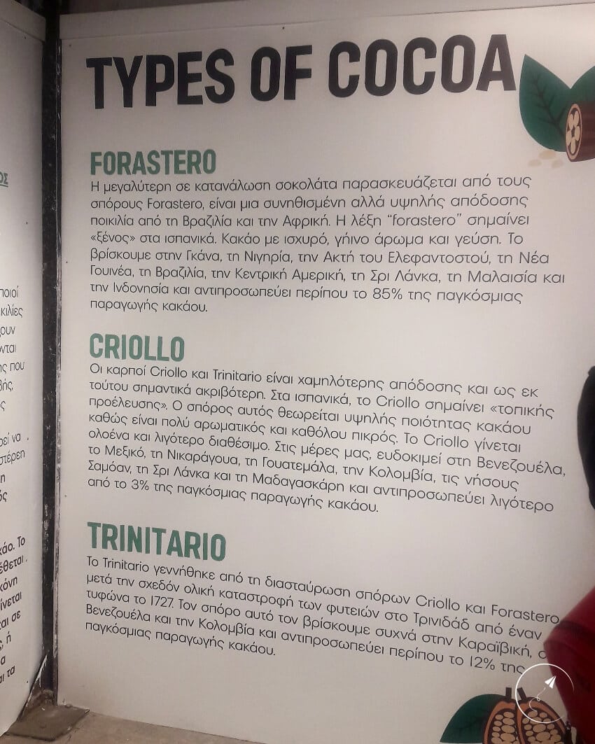 Chocolate fest: linfo for cocoa - photo