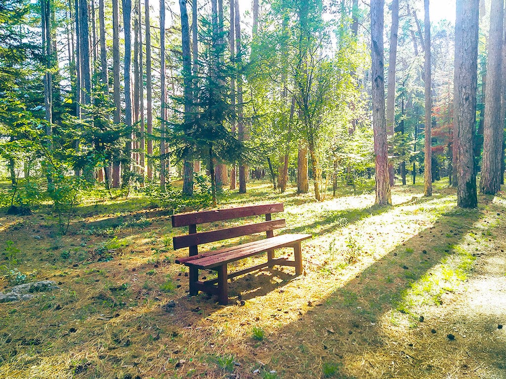 Δασάκι Βυτίνας - φωτογραφία