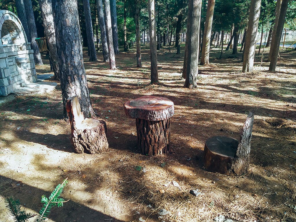 Δασάκι Βυτίνας - φωτογραφία