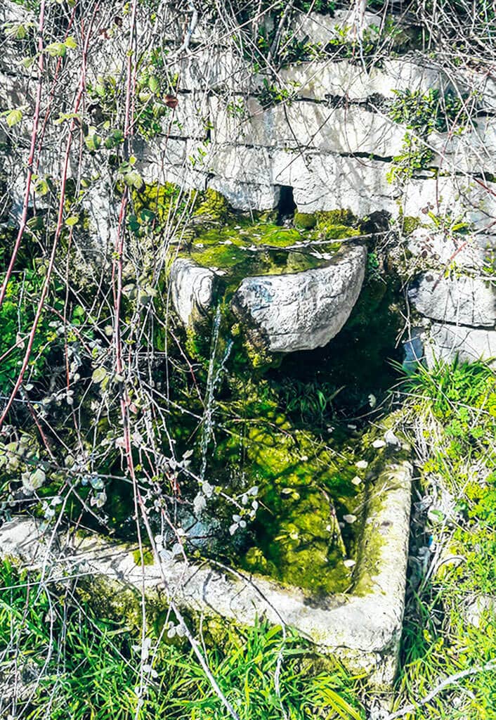 Κούτουλας στο χωριό - φωτογραφία