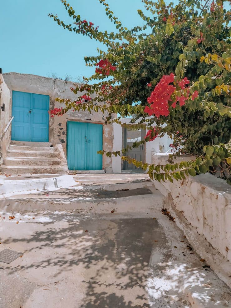 Μεγαλοχώρι βουκαμβίλιες - - φωτογραφία