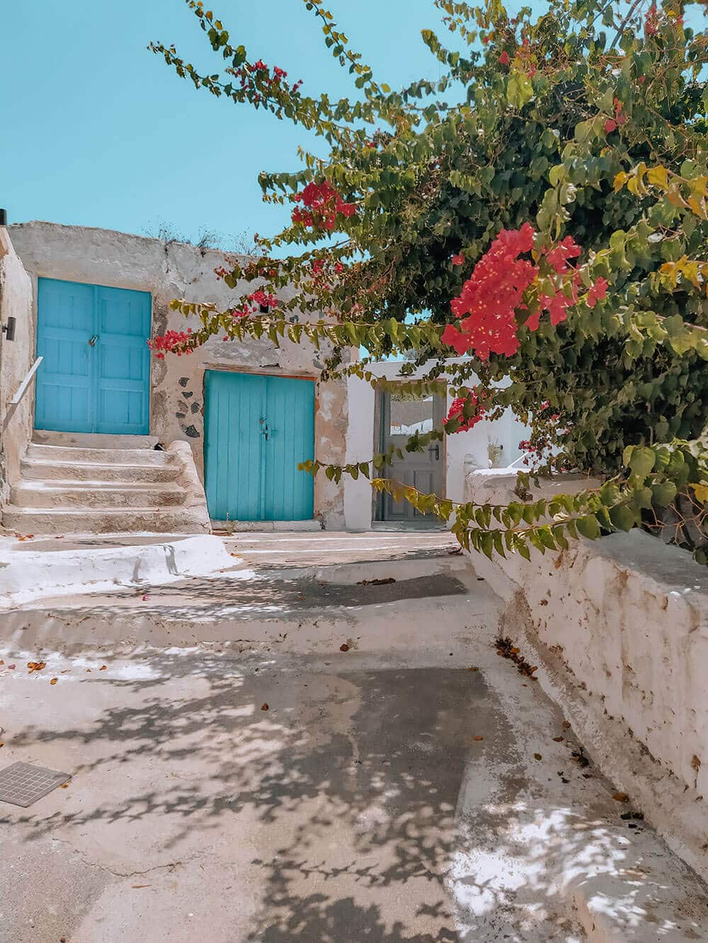 Μεγαλοχώρι βουκαμβίλιες - - φωτογραφία