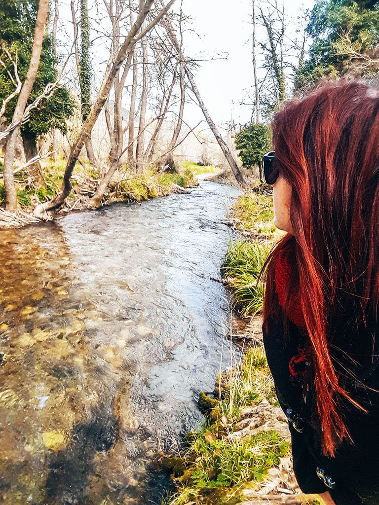 Μανεσαϊκός - φωτογραφάι