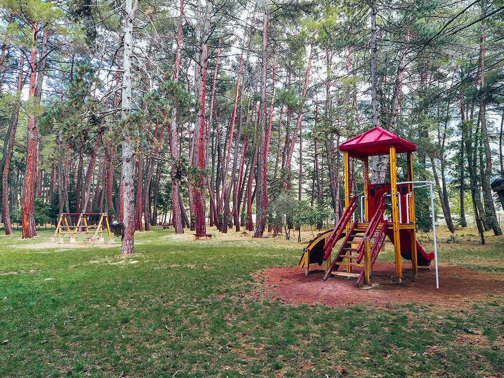 Δασάκι Βυτίνας - φωτογραφία