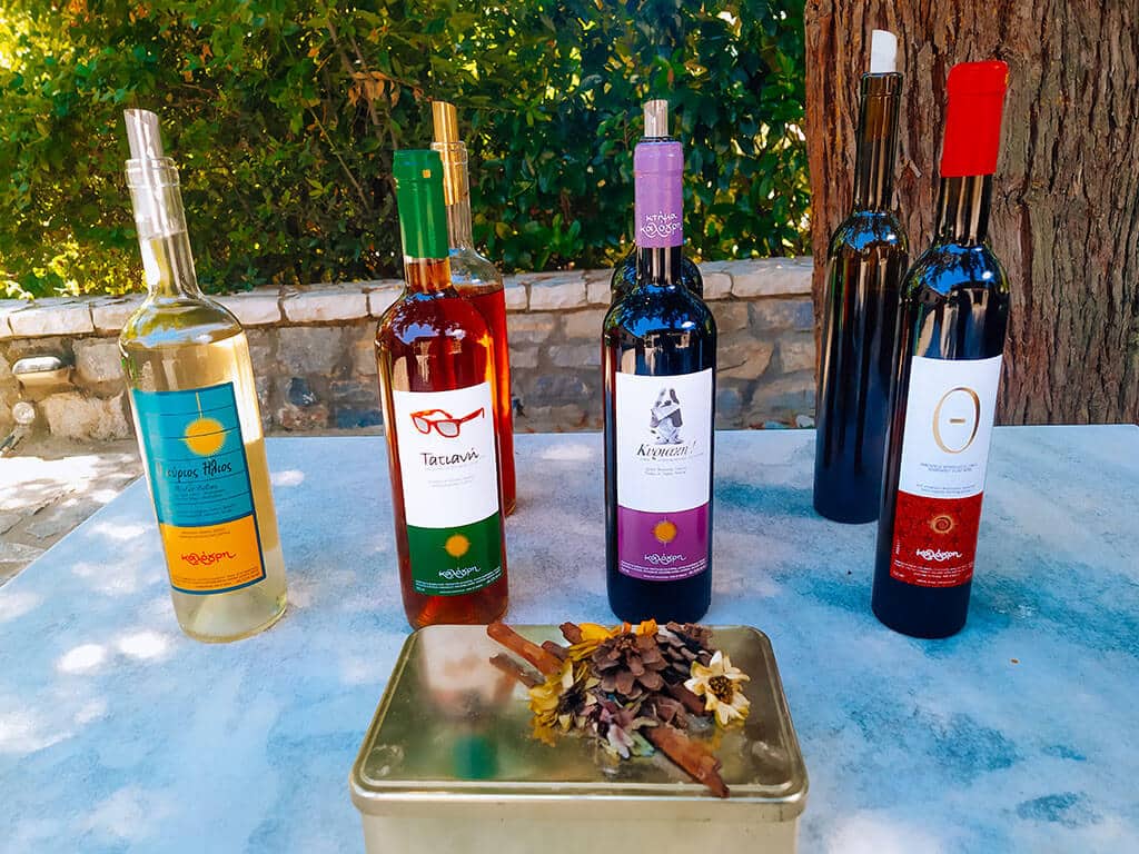 Wine tasting - φωτογραφία