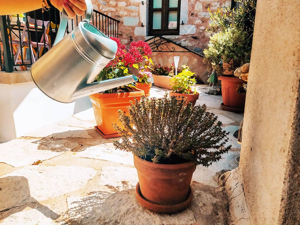 Αυλή - φωτογραφία